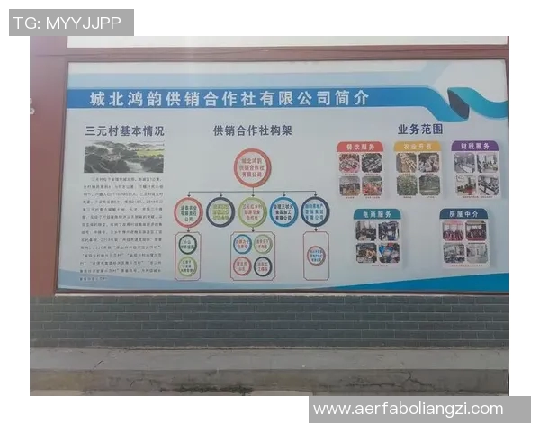 足球明星助力凉山州青少年足球发展与文化传承的探索之路